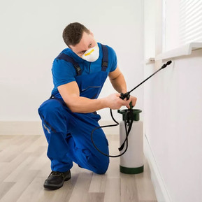 Pest Control 