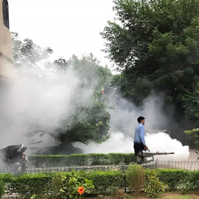 Flying Insect Fumigation
